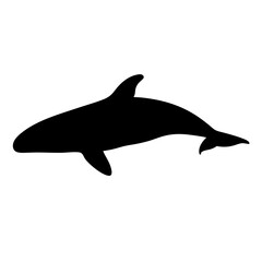 Silhouette of dolphin marine mammal aquatic animal ocean sea wildlife vector illustration art image