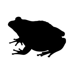 Illustration of a black frog amphibian silhouette vector image wildlife nature animal toad drawing