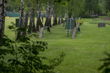 Outdoor dog training area on the lawn.
