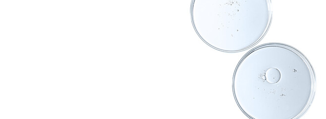 The texture of a cosmetic serum or body gel in a Petri dish.