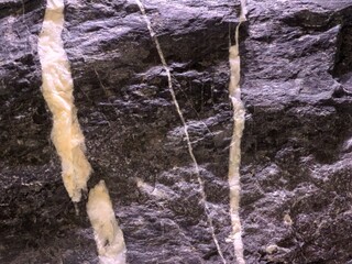 Dark Igneous Rock with White Mineral Veins