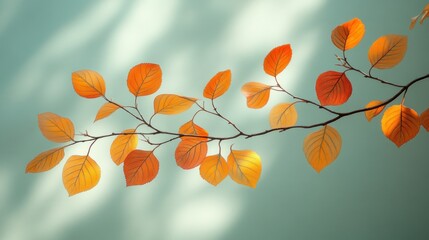 Autumn leaves branch, soft light