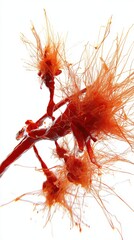 Abstract Neuron Network Visualization on White Background Close Up Artistic Render Neural Connection