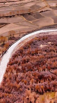 ariel view of farming land and river in drass laddakh