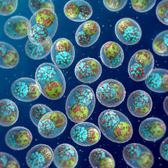Medical background, Chlamydophila pneumoniae, bacteria from the Chlamydiaceae family, the main causative agent of pneumonia in humans, 3D rendering