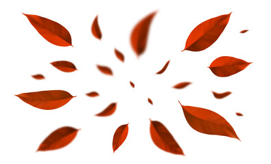 Top view on flying red leaves in the air. Colorful plant leaves.