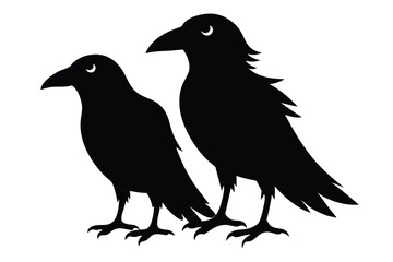 raven silhouette isolated on white