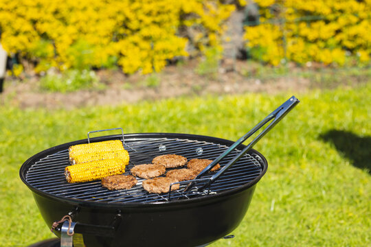 Kettle grill cooking burger patties and corn cobs on grassy lawn, near flowering hedge