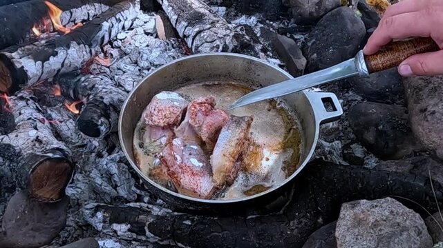 Cooking fish pieces over a fire in a frying pan in the forest