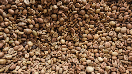 coffee bean is one of the most biggest industry in Indonesia