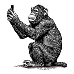 Monkey Taking Selfie Using Smartphone Hand Drawn Black and White Outline Line Art Drawing