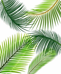 palm leaves background