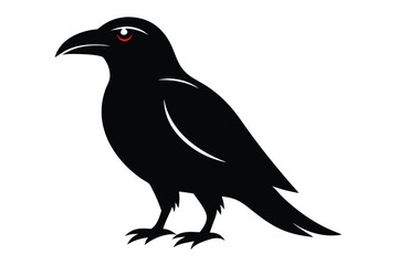 crow on a white background