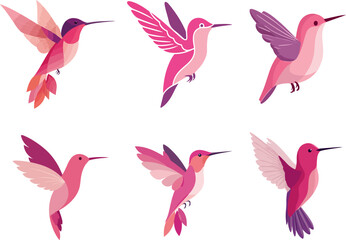 Obraz premium Pink Hummingbird Clipart Set – Elegant Vector Birds in Flight