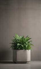 Lush green plant thriving in modern concrete planter ,  indoor,  foliage