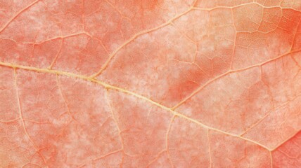 Close-Up of a Vibrant Red Autumn Leaf with Intricate Veins