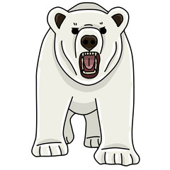 Polar bear animal 