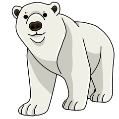 Polar bear animal 