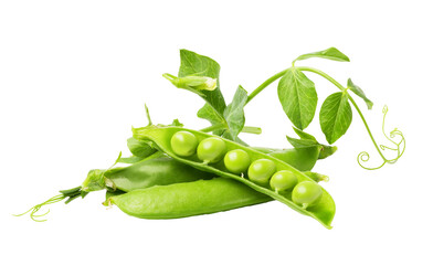 Fresh green peas growing on transparent background