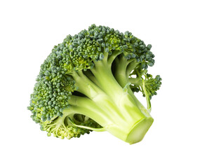 Fresh broccoli floret with transparent background: perfect for healthy food concepts