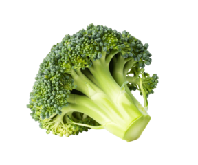 Fresh broccoli floret with transparent background: perfect for healthy food concepts