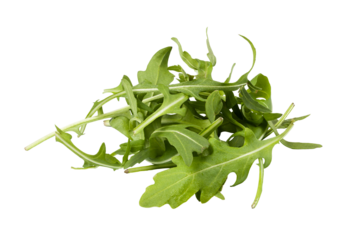 Fresh green arugula leaves isolated on transparent background