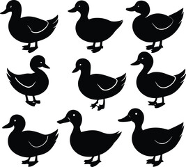 Duck Silhouette Vector Illustration for Nature and Wildlife Designs