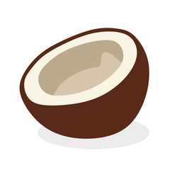 a split coconut fruits