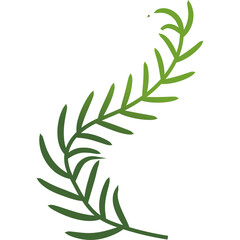 Palm Leaf Decoration Gradient