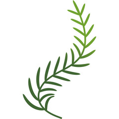 Palm Leaf Decoration Gradient