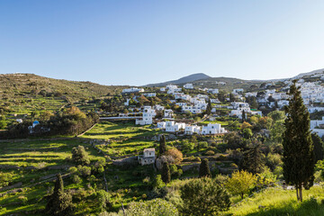 White buildings scattered on a lush hillside in the idyllic village of Lefkes on Paros island in Greece under a clear blue sky on a sunny day.