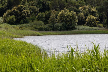 Lagoa pequena interpretive space creates wonderful birdwatching opportunities in sesimbra, portugal