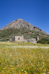 Old ruins of the Early Christian Basilika of Ayios Vassilios in a flowering meadow on a sunny spring day on Telendos island in Greece.