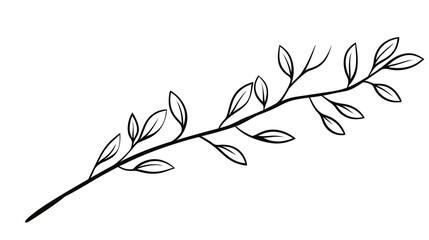 Botanical Illustration of Plant Branch with Leaves in Line Style in Black and White