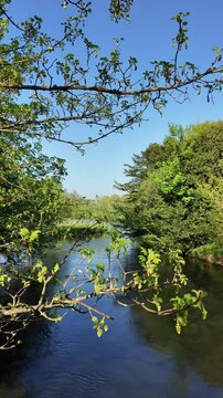 Stockbridge Hampshire England UK. 09.05.2025. Video.  Overview of the River Teast a famous chalk stream in Stockbridge Hampshire England UK.