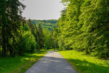 View from the passage to the promenade, forest and mountains.
