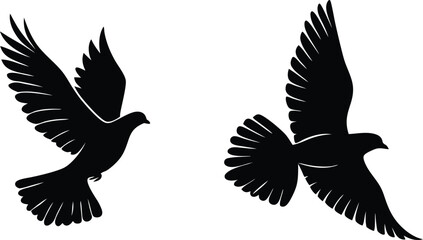 Two Black Silhouettes of Doves in Flight