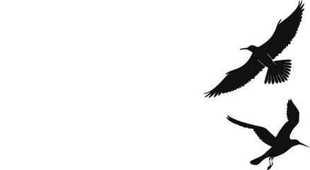 Two Elegant Black Silhouettes of Birds in Flight