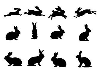 Silhouette design vector illustration digital download for a cute rabbit face