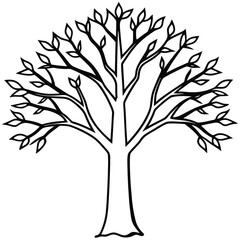 Intricate Black and White Tree Illustration with Detailed Branches