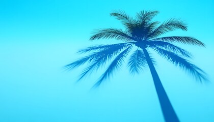 Fototapeta premium Silhouetted palm tree shadow against a vibrant blue sky.
