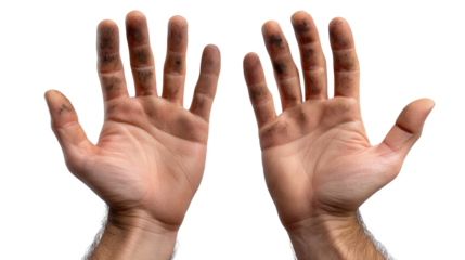 Dirty Hands of Hard Work: A close-up of two hands, covered in grime and dirt, held up against a white background.  The image depicts the physical toil and dedication of labor.