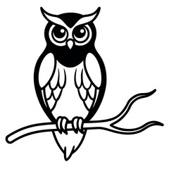 Cute black and white owl perched on a branch.