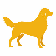 Golden Retriever golden retriever dog