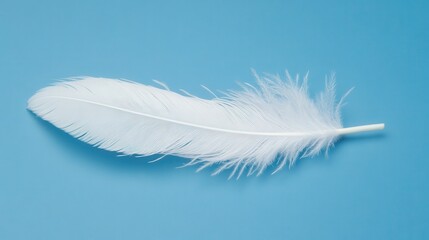 Obraz premium White Feather on Blue Background Macro Photography.