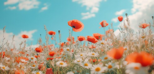 Obraz premium Vibrant meadow of wildflowers under a summer sky