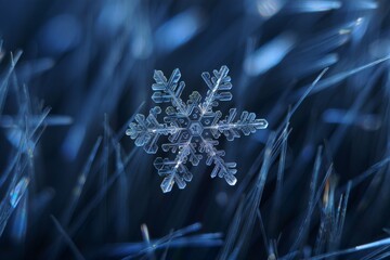 Intricate Snowflake on Frosty Background