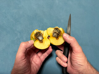 Problem of preserving fruit harvest. Danger of poisoning. Rotten apple in cut. Outwardly attractive...