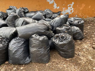 Forgotten, black plastic bags with tree leaves. Large black plastic garbage bags filled with fallen...