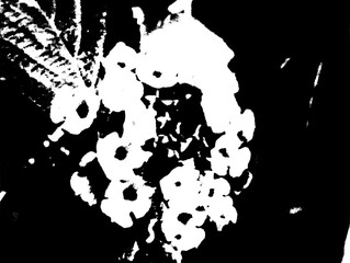 abstract grunge background with blots